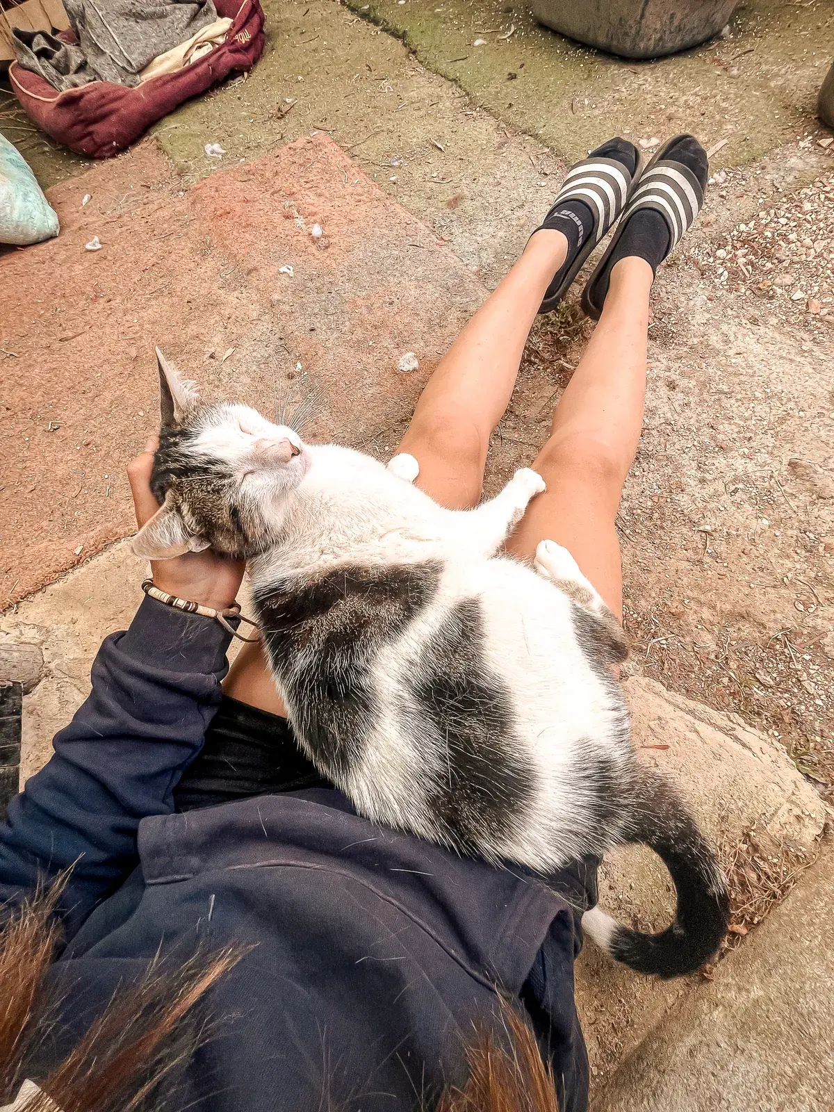 Victor lying across a volunteer outdoors