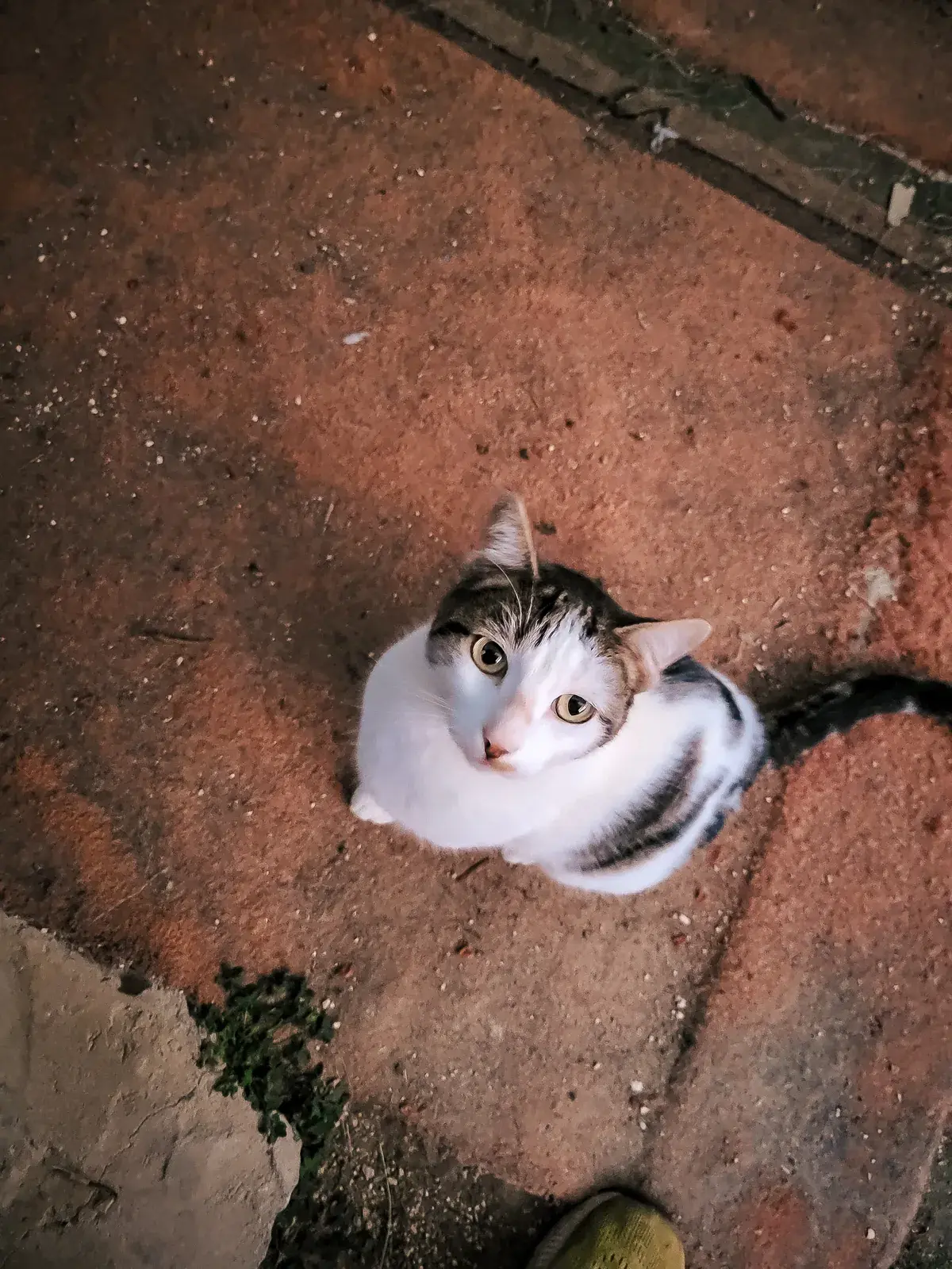Victor looking up from the ground at Mayday Algarve