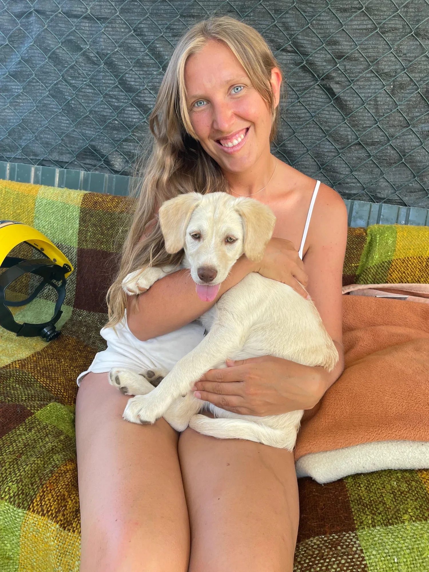 Bispo sitting happily on his adopter’s lap
