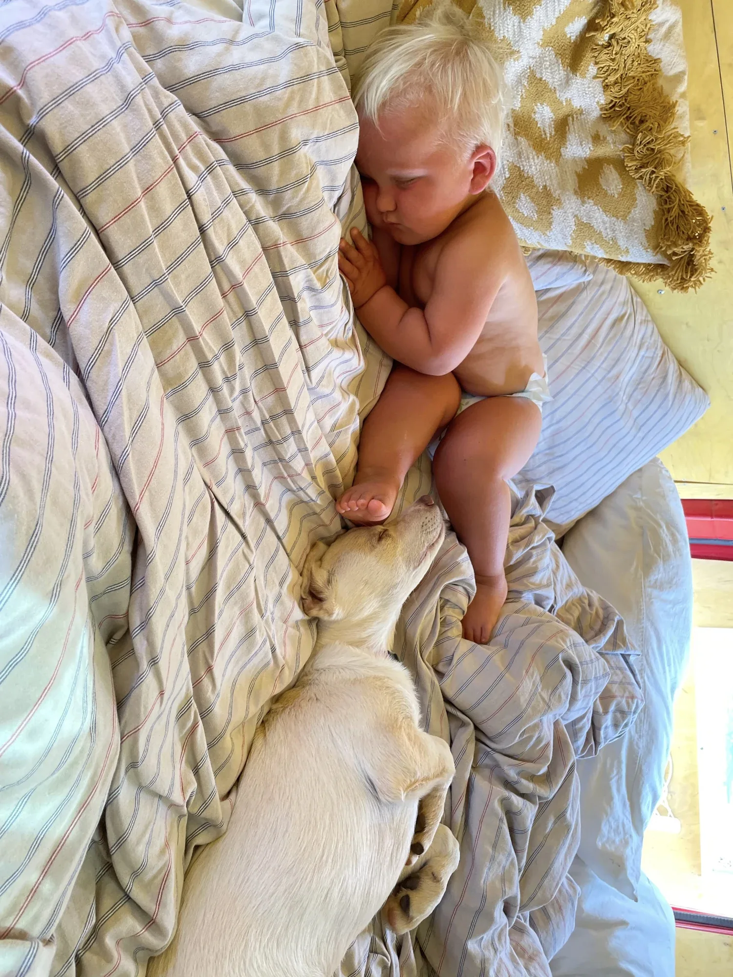 Bispo resting beside a child on the family bed