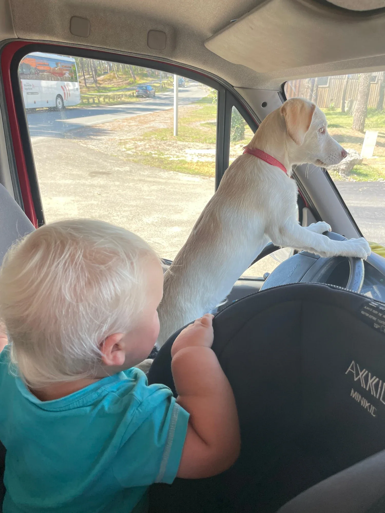 Bispo sitting at the steering wheel of the parked family van