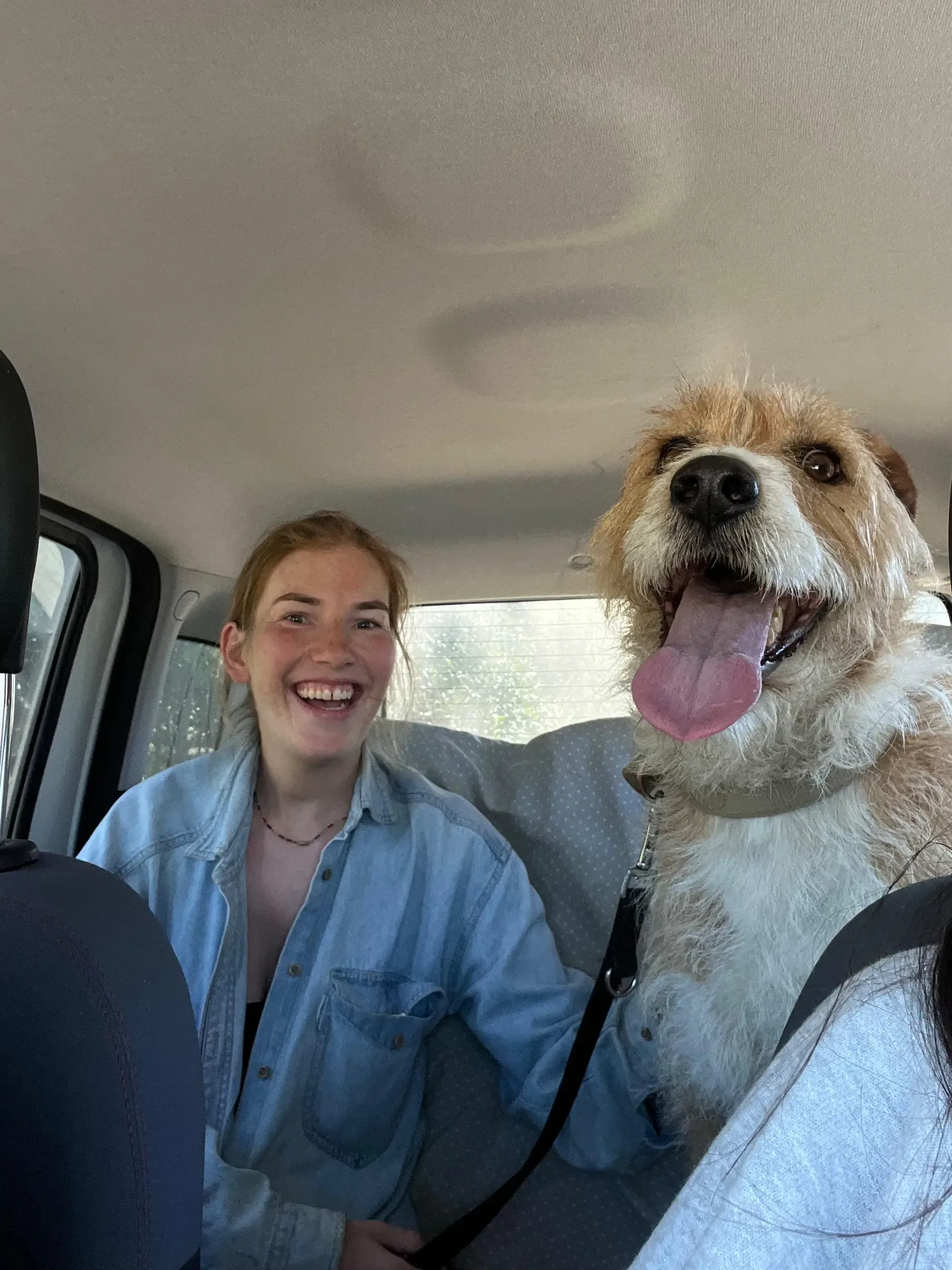 Buddy sitting beside Lilli inside a car