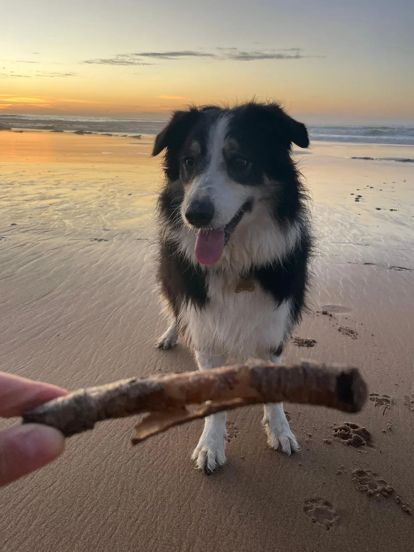 Mascot standing on a sandy beach
