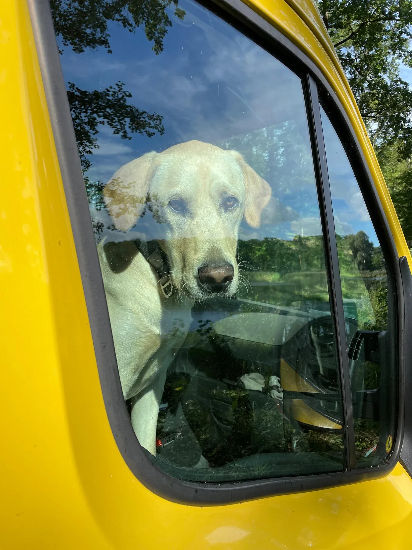 Seppi looking out from the family van