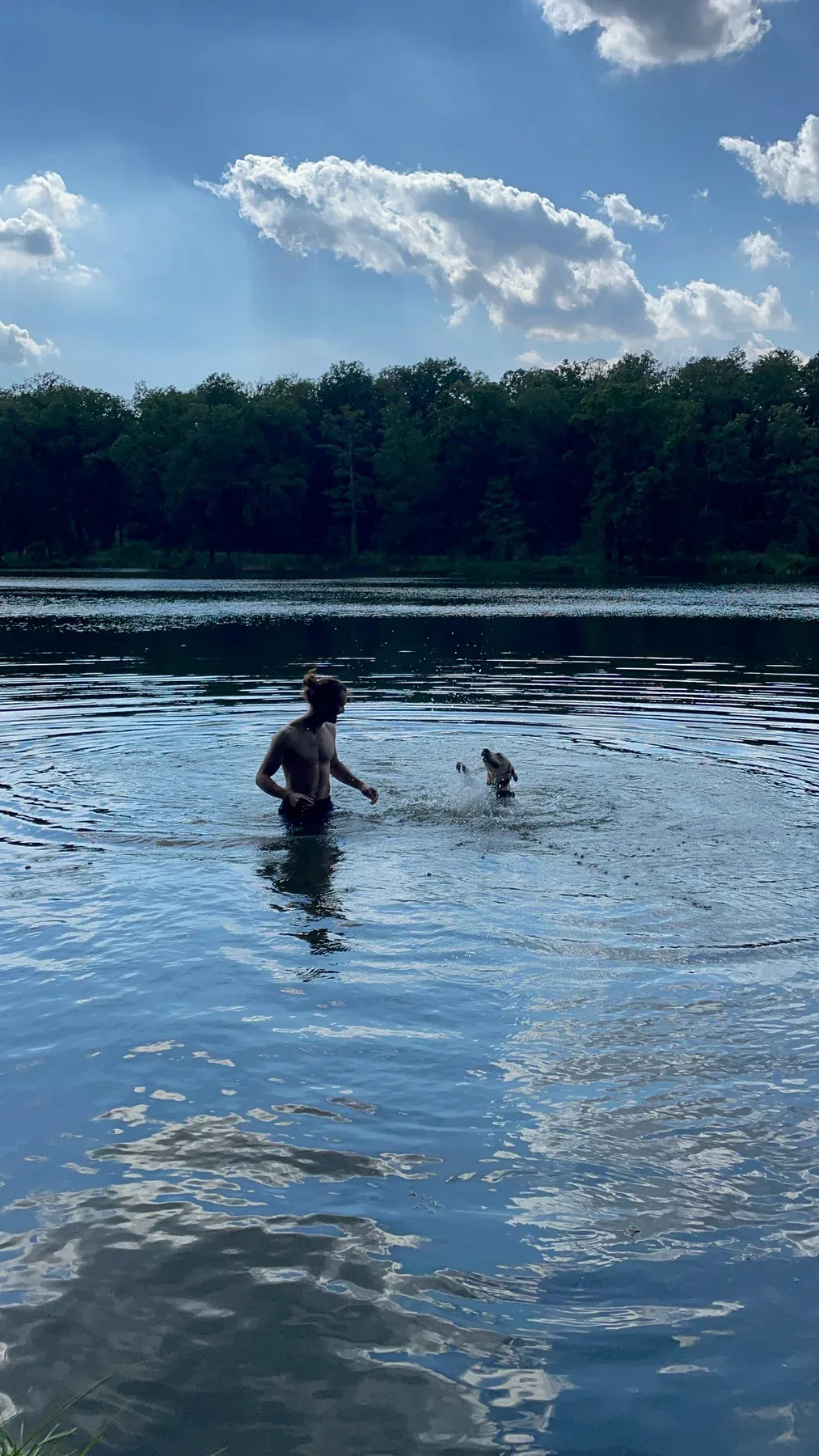 Seppi swimming with his family in a lake