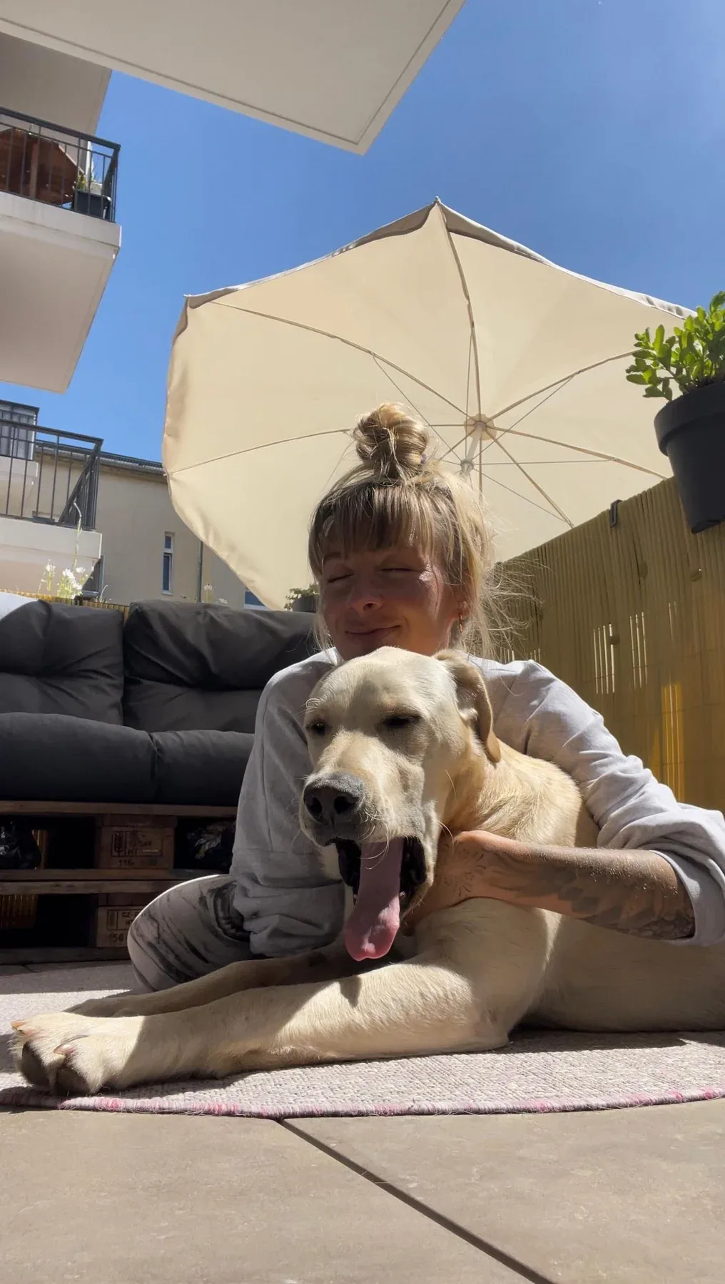 Seppi cuddling with a family member at home