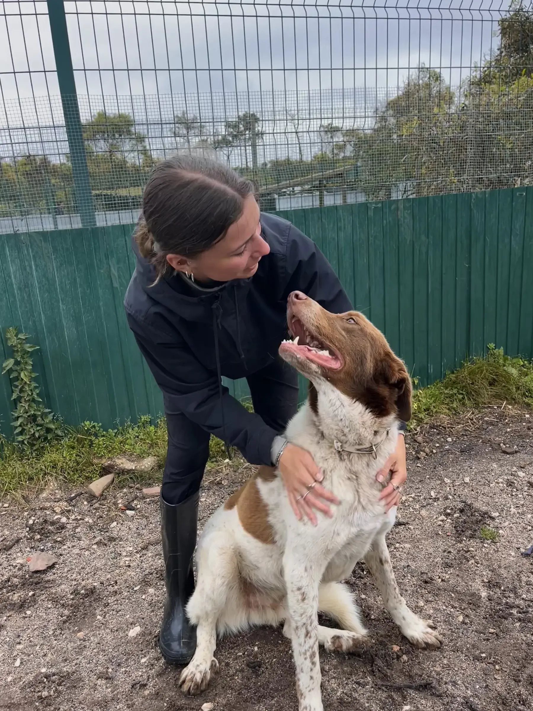 A volunteer caring for a Mayday dog