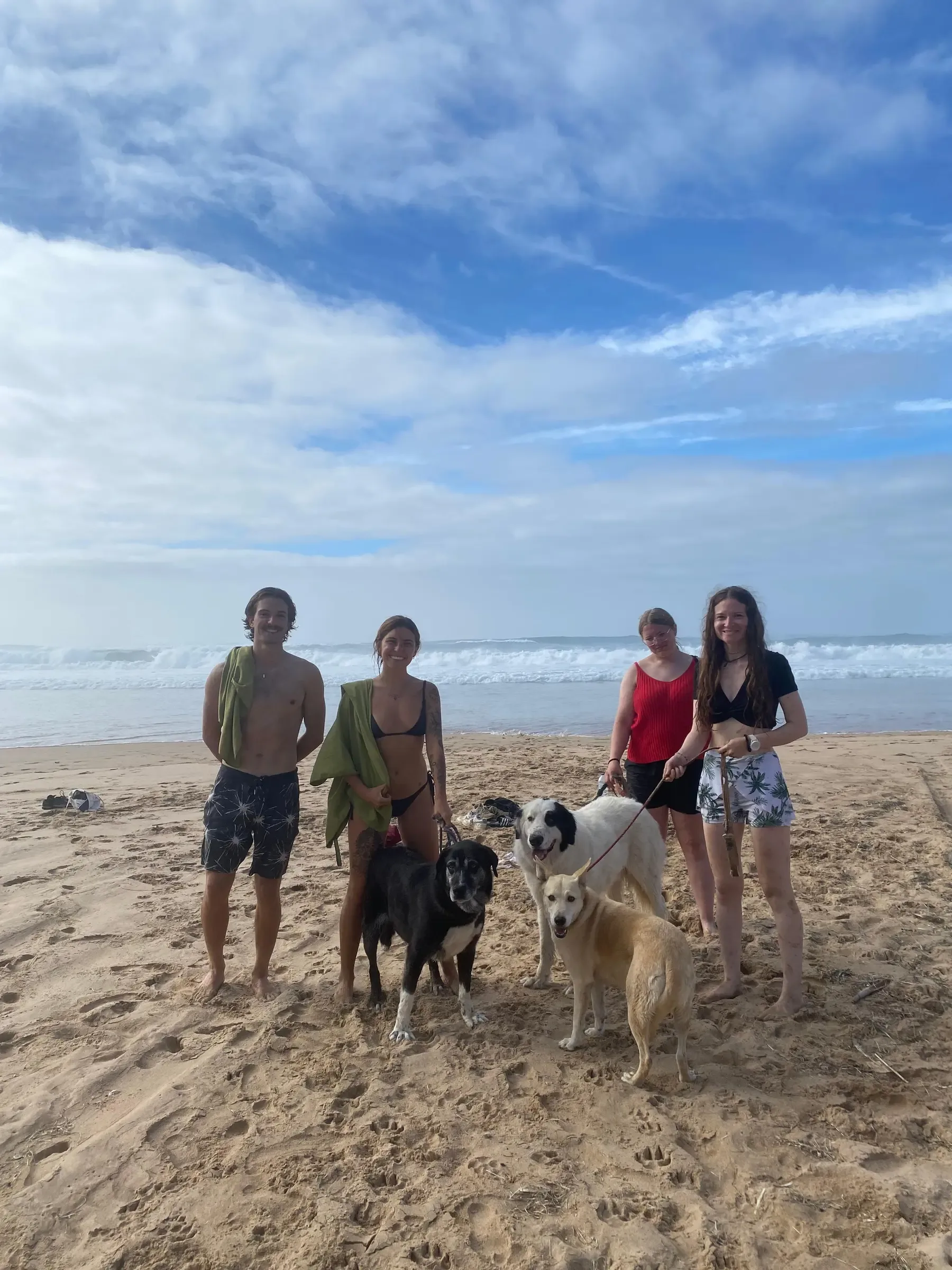 Mayday volunteers and dogs together on a beach