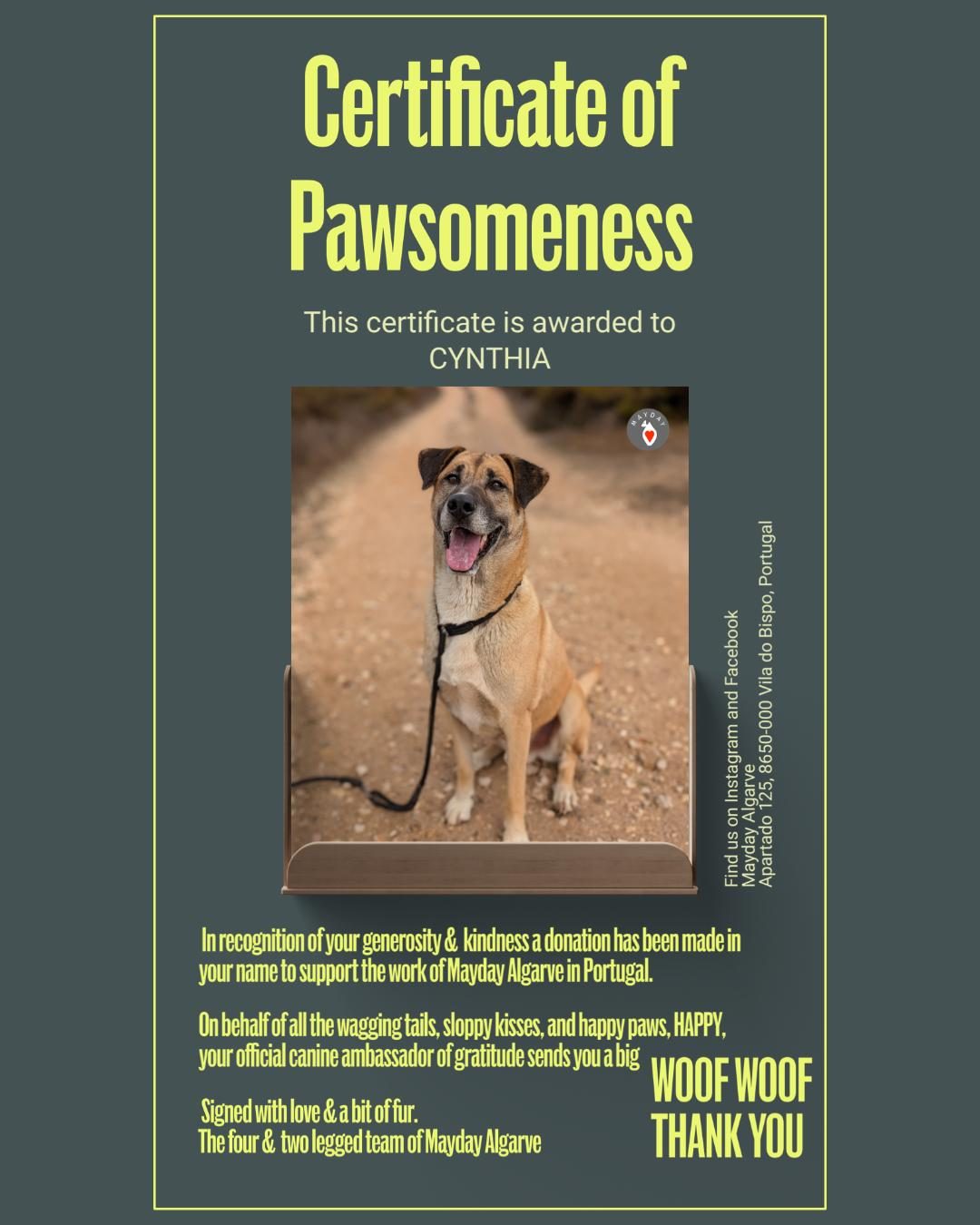 Certificate of Pawsomeness awarded to Cynthia, featuring Happy