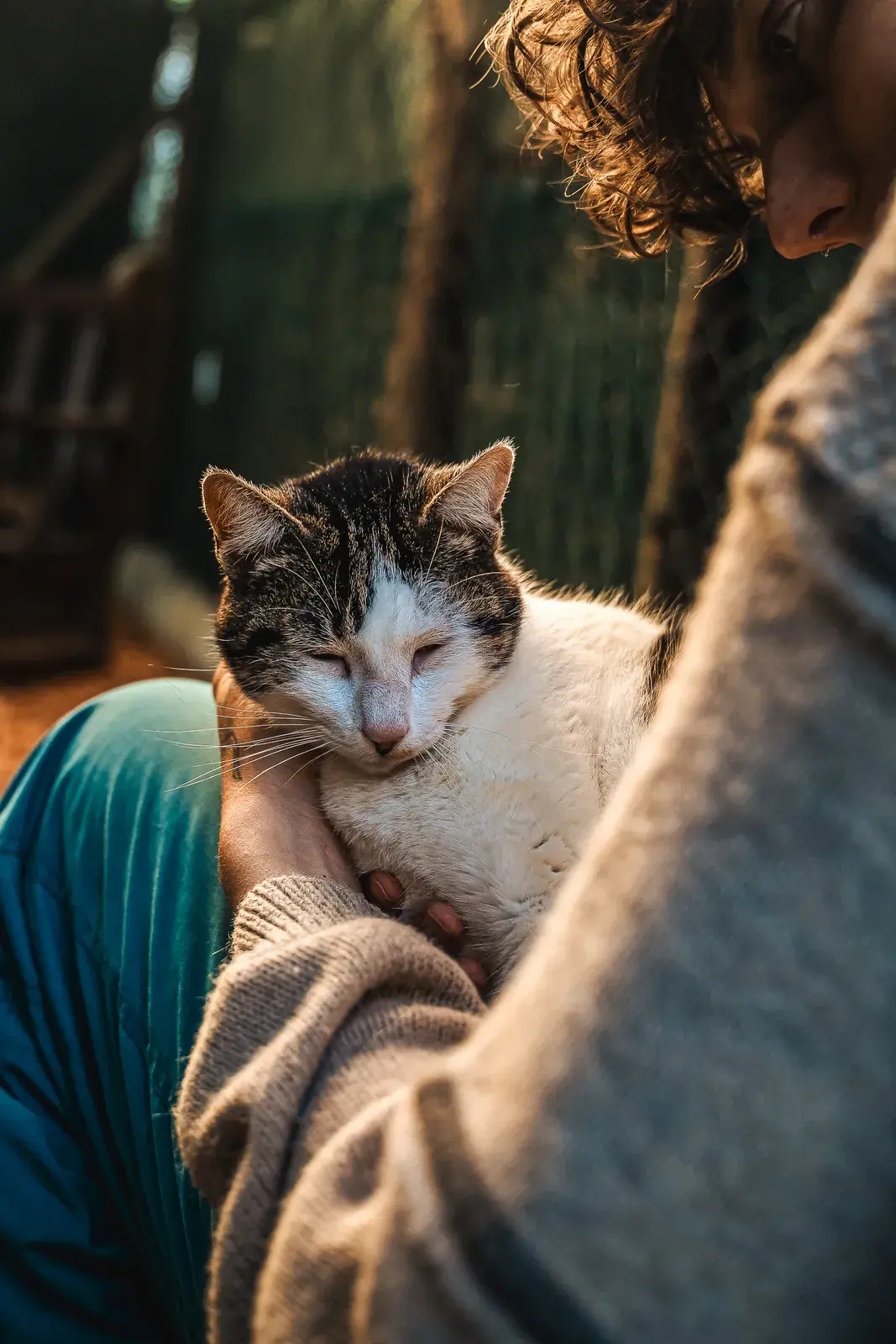 Victor resting against a volunteer who is holding him
