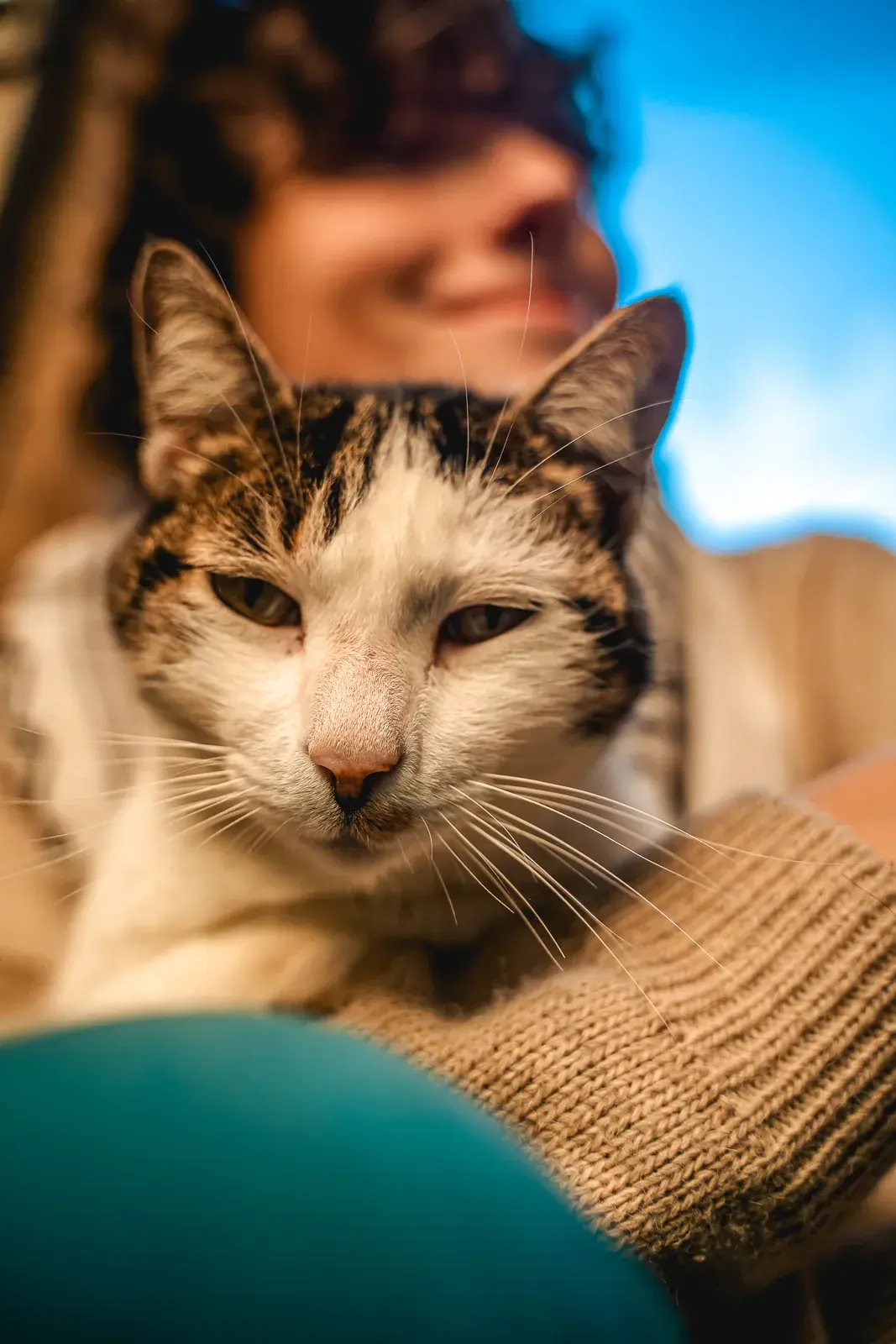 Close portrait of Victor being cuddled by a volunteer