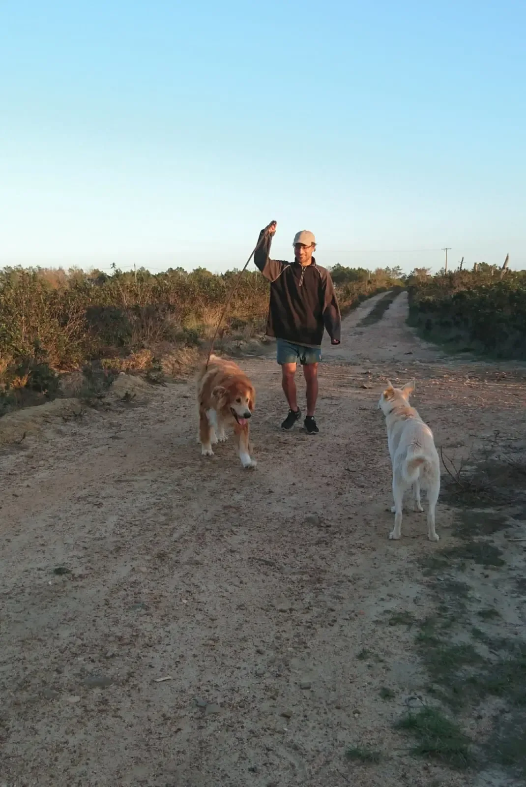 Walk the dogs at Mayday Algarve