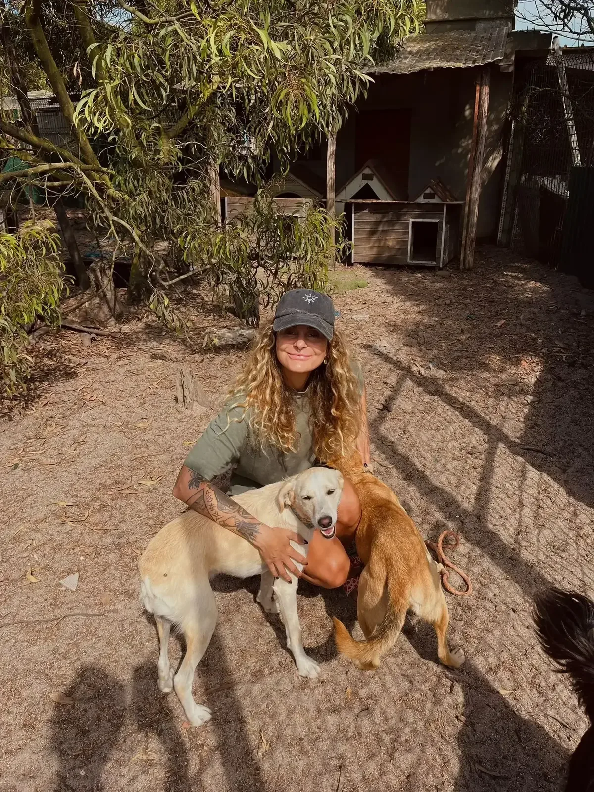 A volunteer spending time outdoors with several Mayday dogs