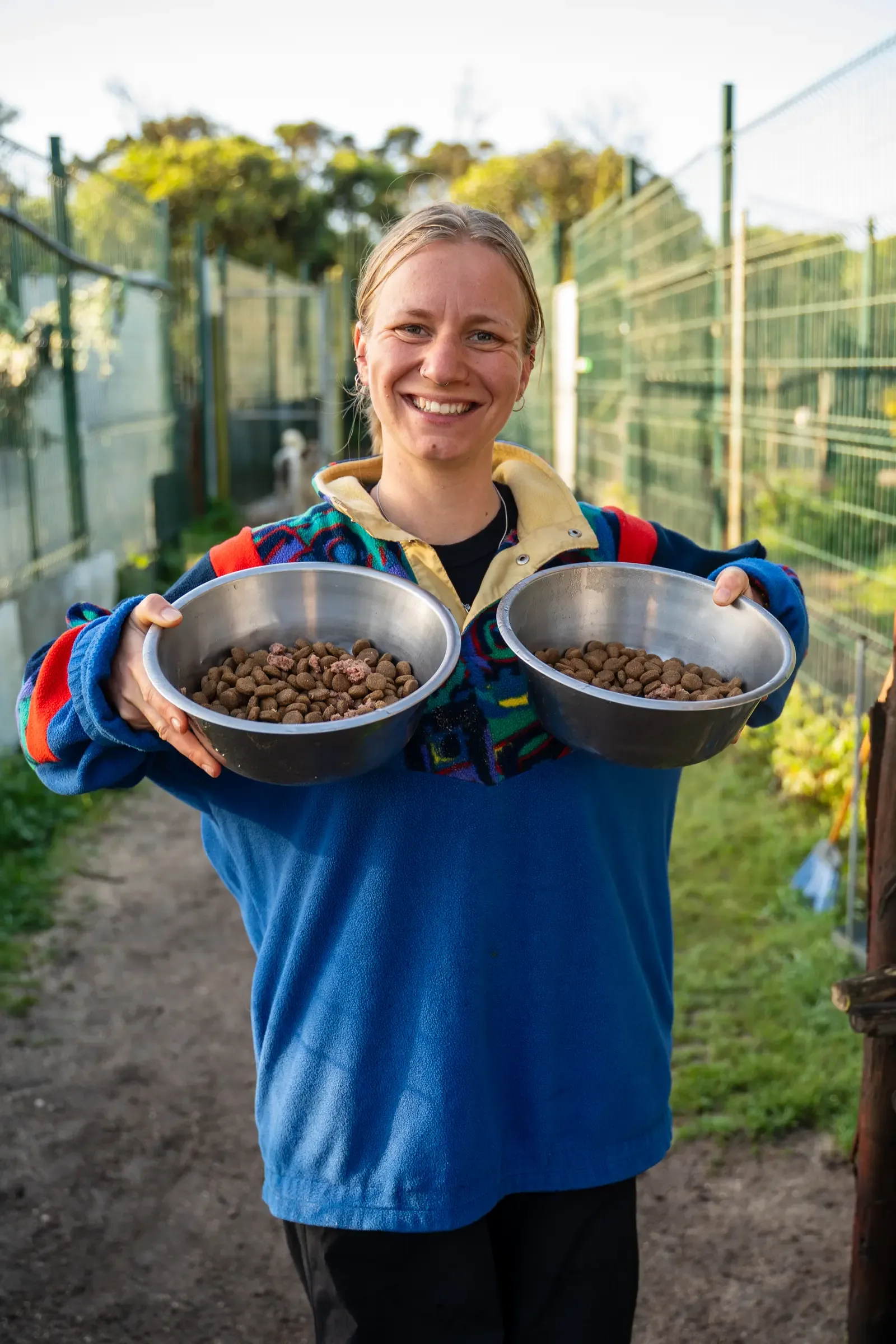 A volunteer preparing food for the dogs