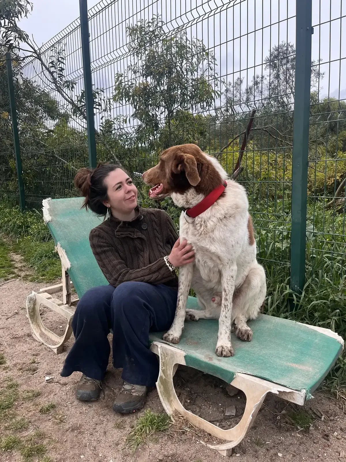 A volunteer spending calm time with Mayday dogs