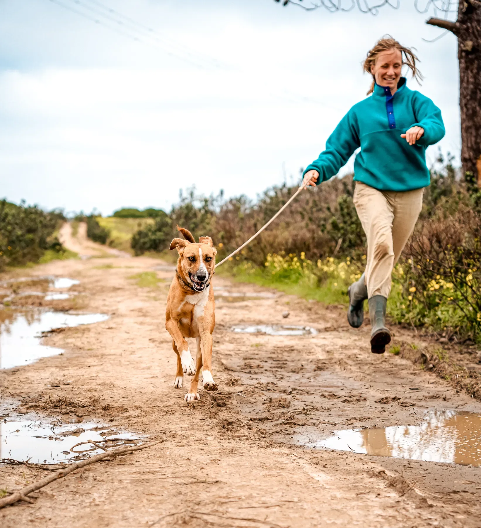 A Mayday volunteer walking a dog