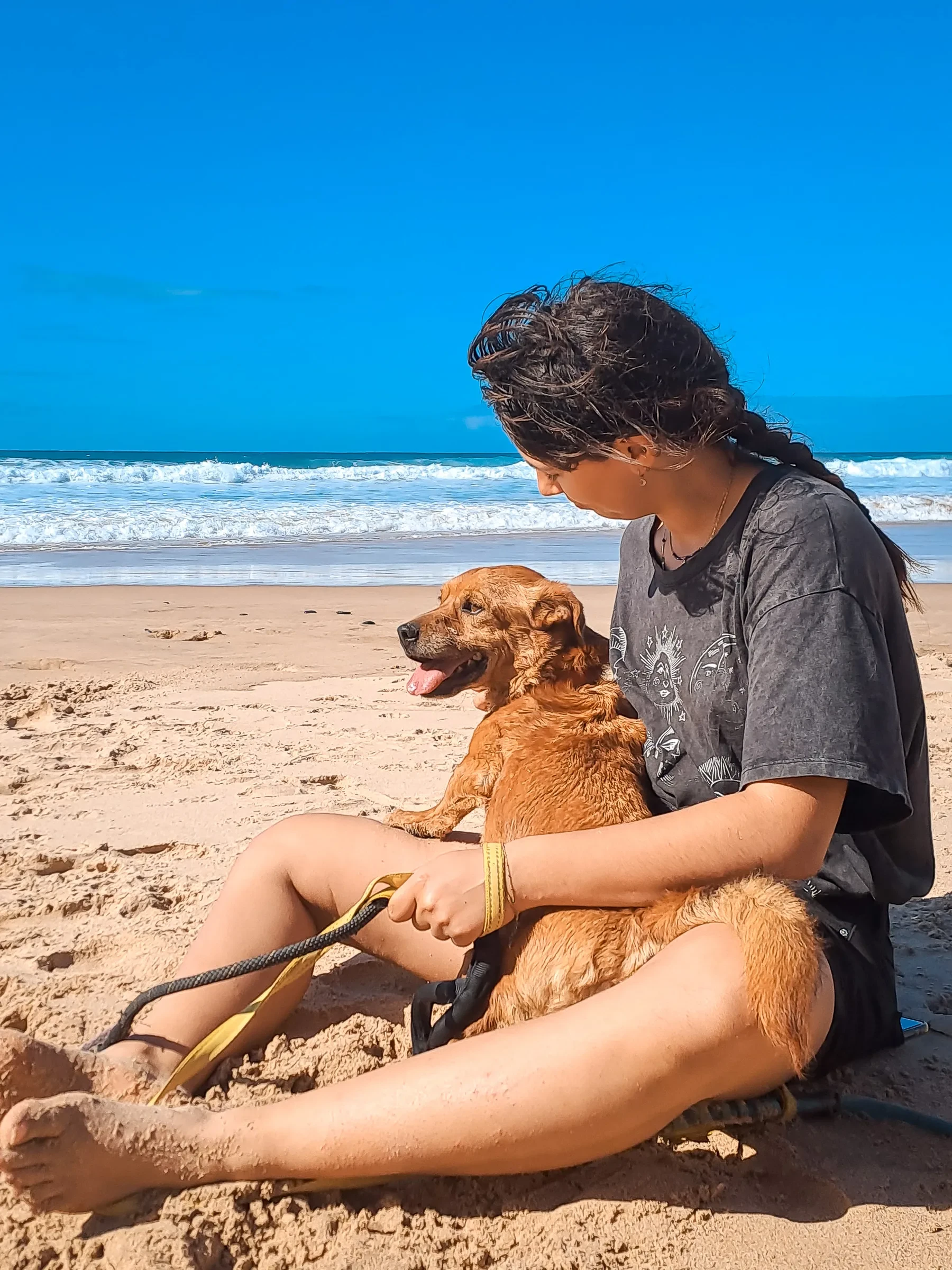 A Mayday rescue dog enjoying time with a volunteer