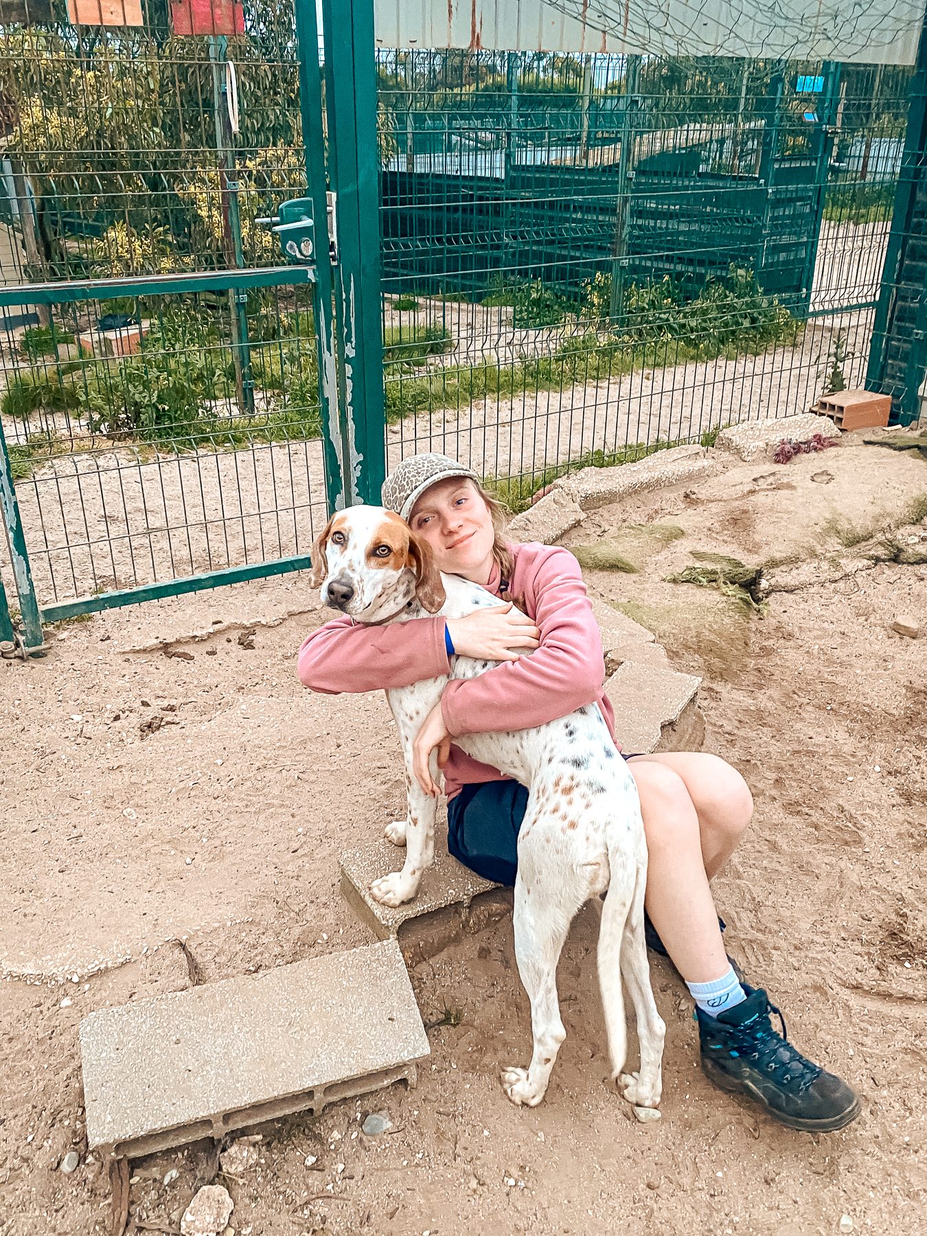A Mayday rescue dog at the woodland sanctuary near Vila do Bispo